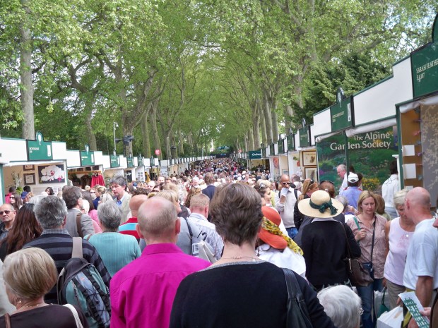 Entrance to the show