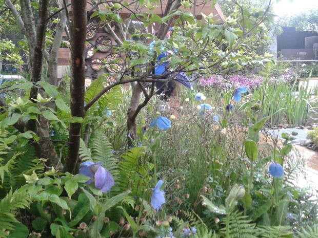 RBS Blue Water Roof Garden