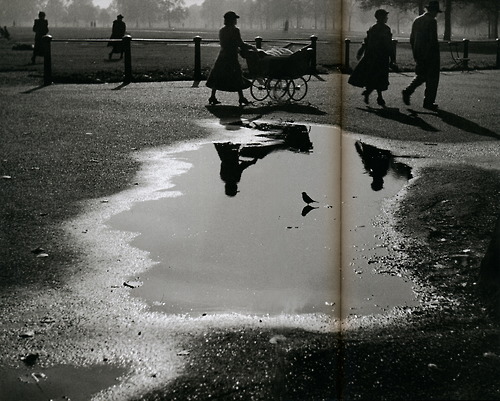 herbert list The Bird Hide Park London 1936