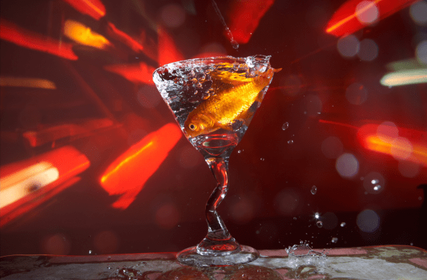 Fannyfish Armelle Burke - photo courtesy Siger Gallery Copyright Armelle Burke 