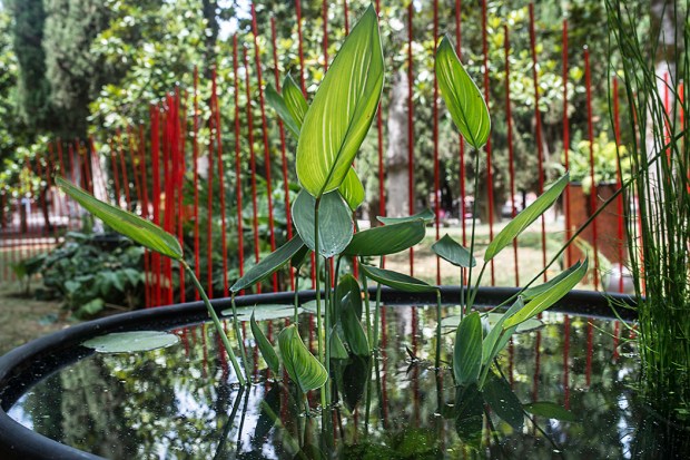 Giardino dell Naiadi_Best in Show Garden - photo credits Antonello Ginanneschi