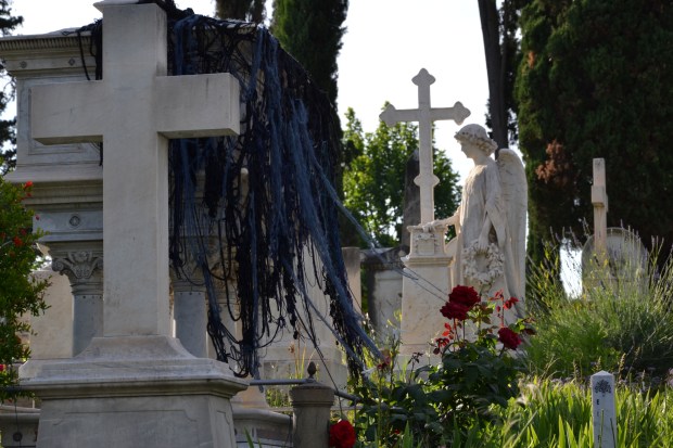 Mantello Gloria Campriani profilo